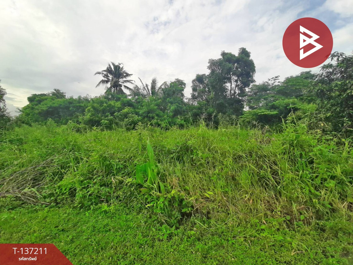 ขายที่ดิน เนื้อที่ 1 งาน 98 ตารางวา หนองจอก กรุงเทพฯ