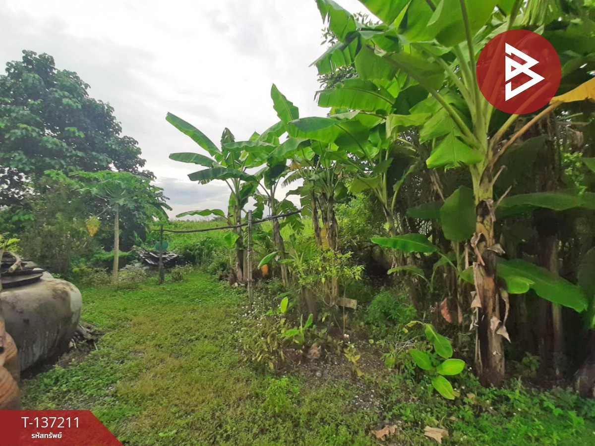 ขายที่ดิน เนื้อที่ 1 งาน 98 ตารางวา หนองจอก กรุงเทพฯ