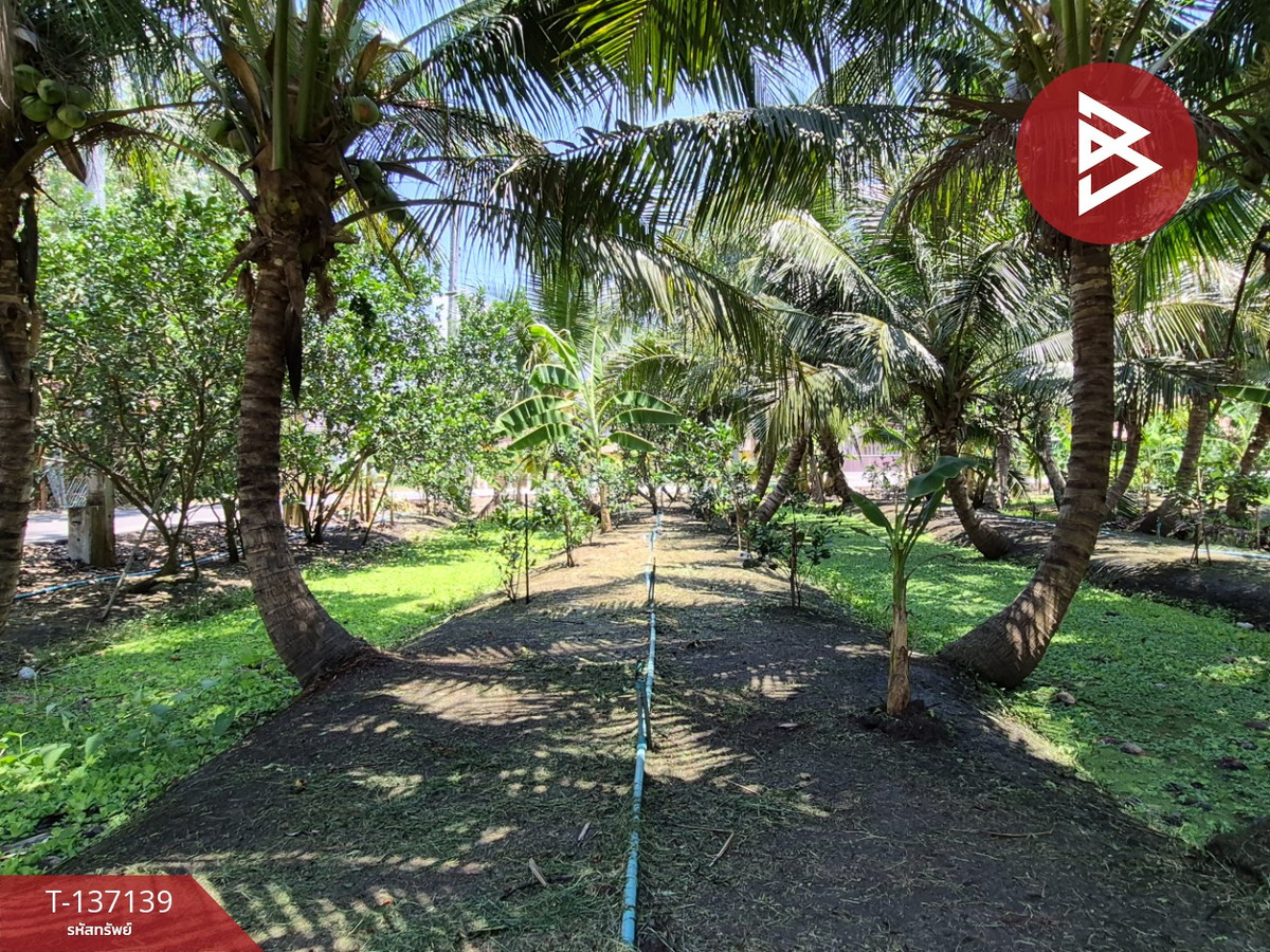 ขายที่ดิน เนื้อที่ 1 ไร่ 36 ตร.วา อัมพวา สมุทรสงคราม