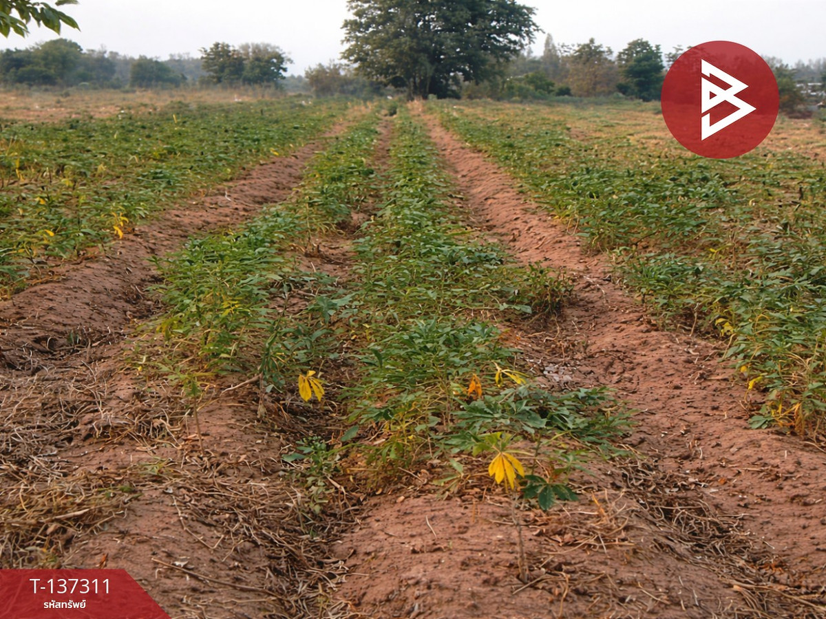 ขายที่ดิน เนื้อที่ 7 ไร่ 2 ตร.วา พัฒนานิคม ลพบุรี ติดโรงงาน เหมาะลงทุน