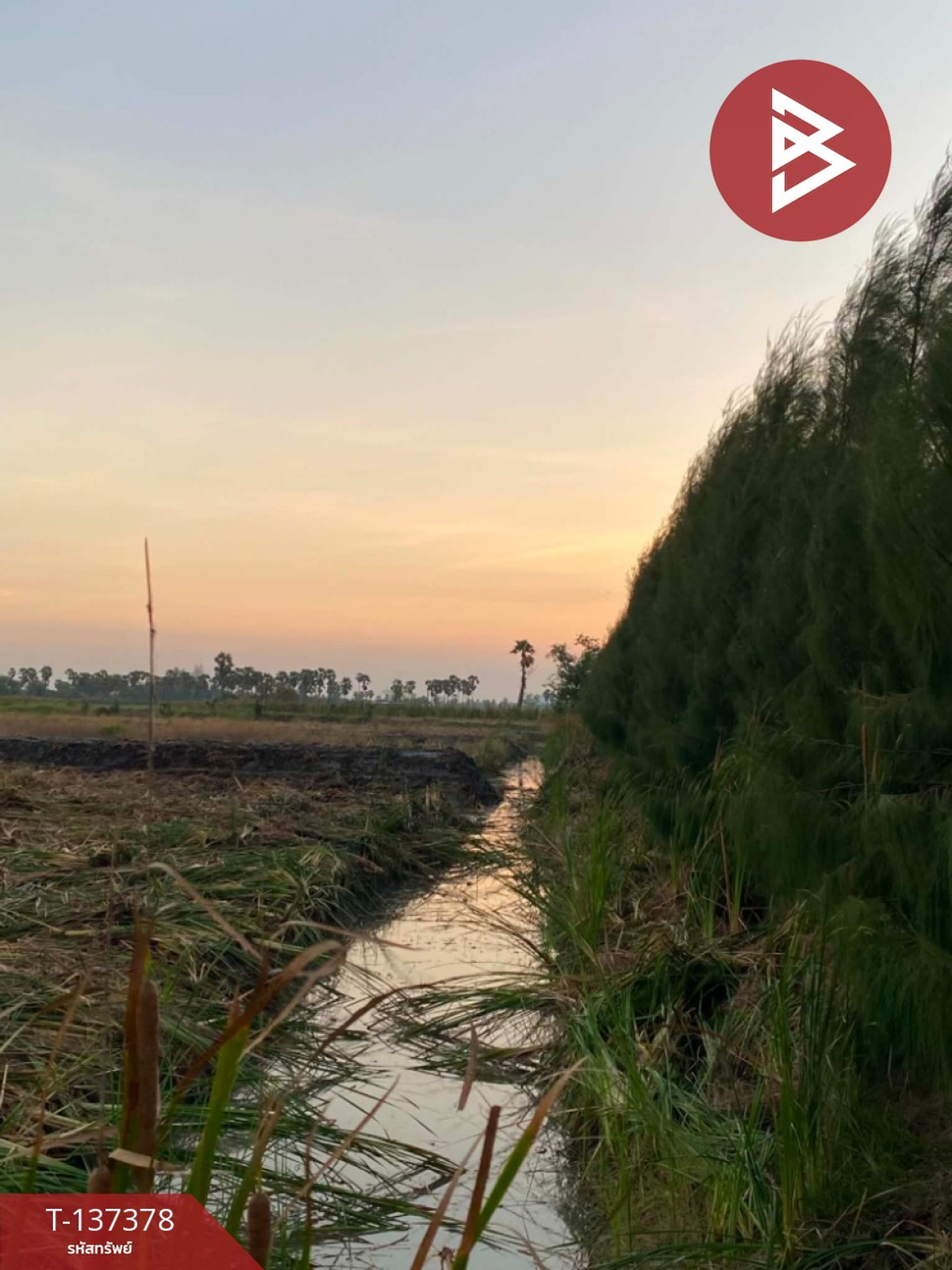 ขายที่ดินสวย เนื้อที่ 18 ไร่ 2 งาน 94 ตารางวา ต.บางจาน เพชรบุรี