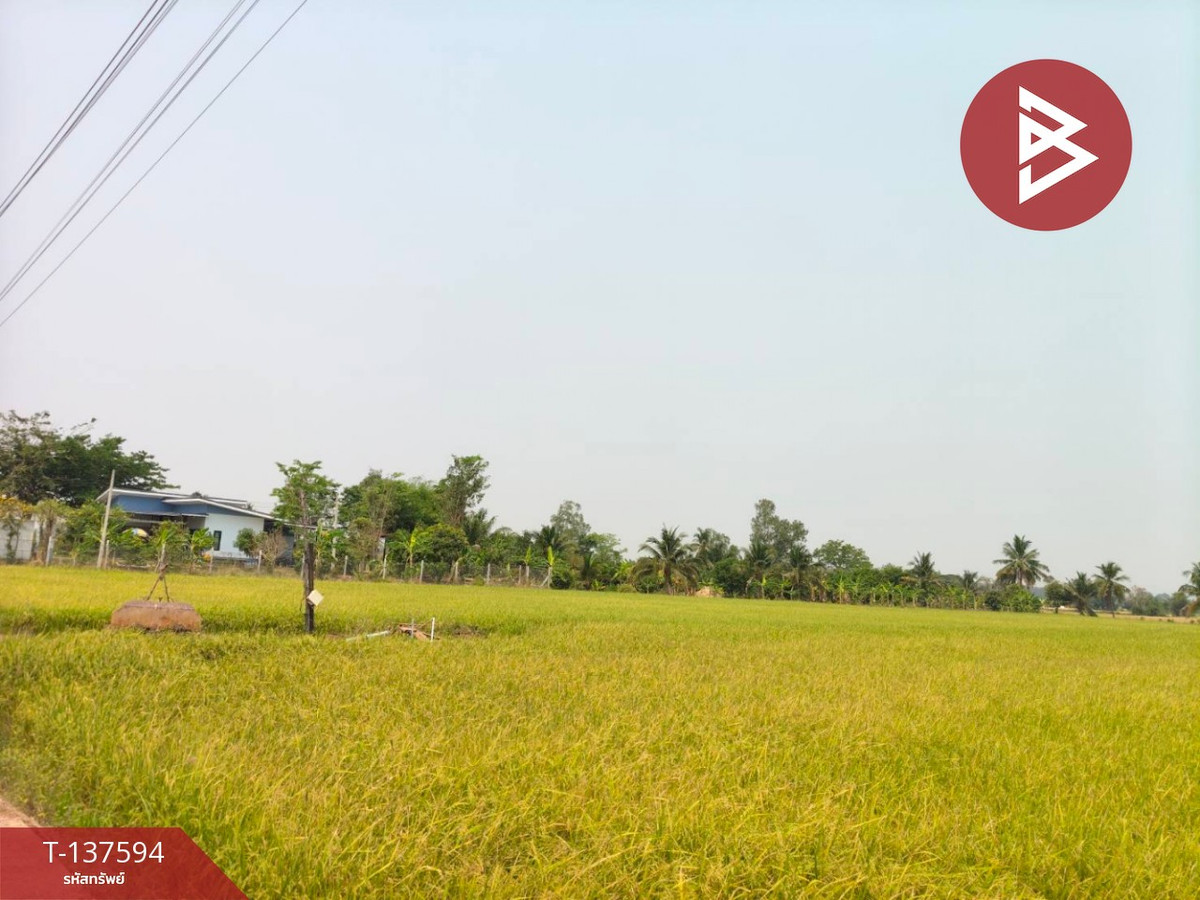 ขายที่ดิน เนื้อที่ 3 ไร่ 1 งาน 65.8 ตารางวา ต.บ้านกร่าง พิษณุโลก