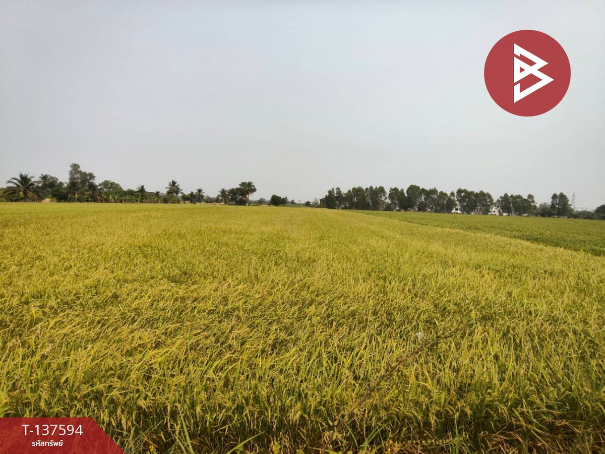 ขายที่ดิน เนื้อที่ 3 ไร่ 1 งาน 65.8 ตารางวา ต.บ้านกร่าง พิษณุโลก