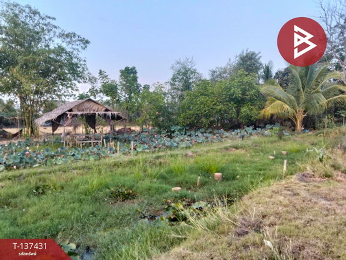 ขายที่ดิน เนื้อที่ 4 ไร่ 3 งาน 33 ตร.วา สามโก้ อ่างทอง