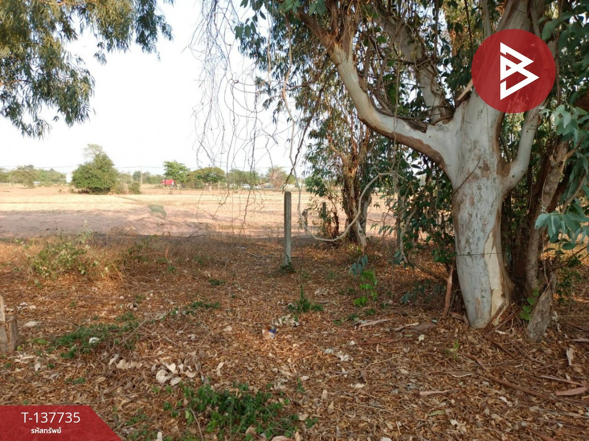 ขายด่วนที่ดินเปล่า เนื้อที่ 60 ตร.วา บ้านไผ่ ขอนแก่น