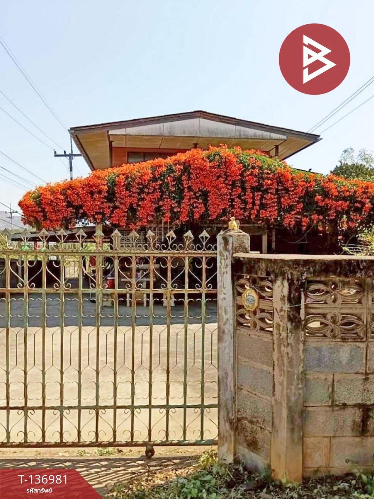 ขายด่วนบ้านเดี่ยวพร้อมที่ดิน เนื้อที่ 183 ตารางวา อ.แม่พริก ลำปาง