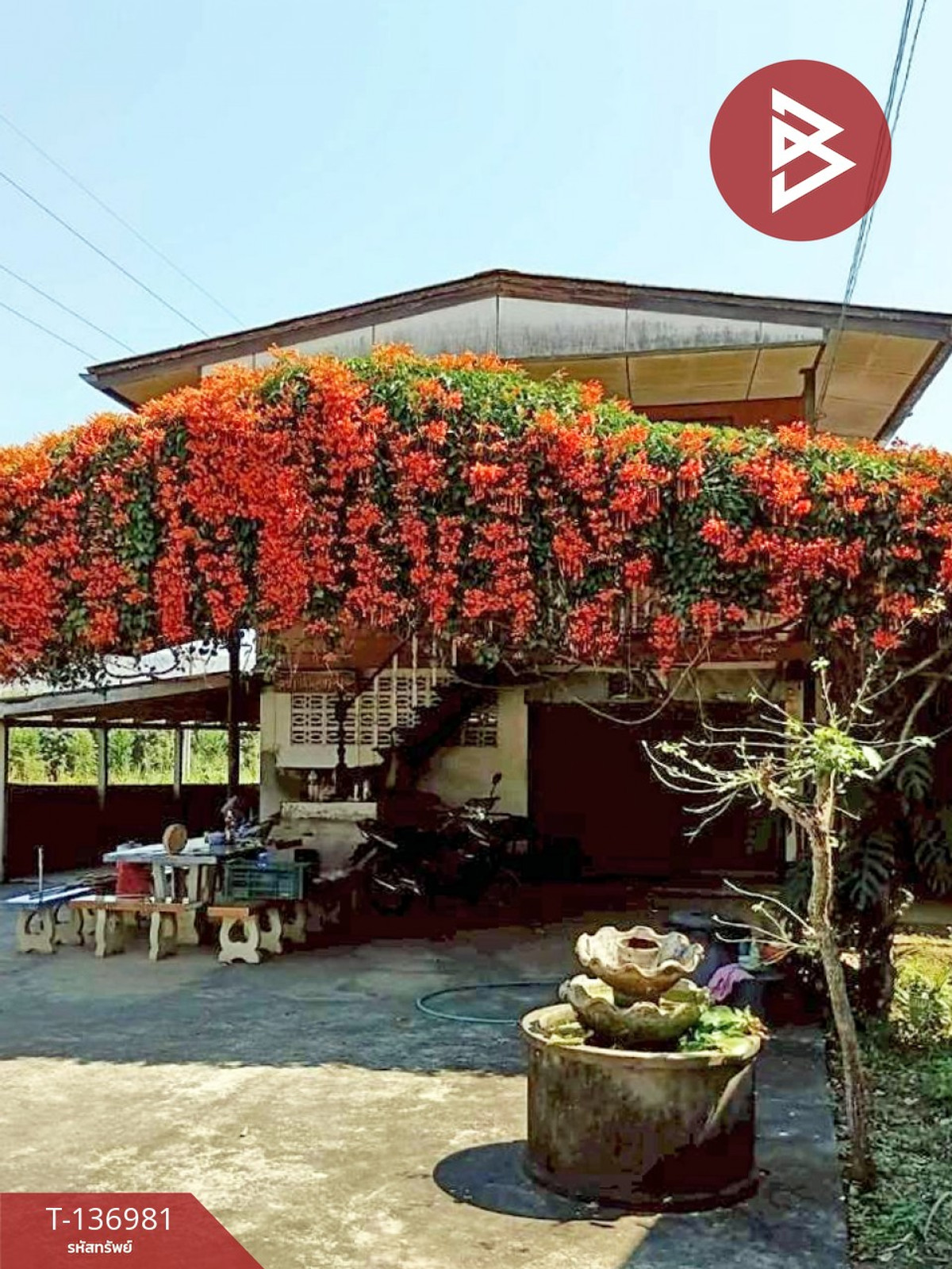 ขายด่วนบ้านเดี่ยวพร้อมที่ดิน เนื้อที่ 183 ตารางวา อ.แม่พริก ลำปาง