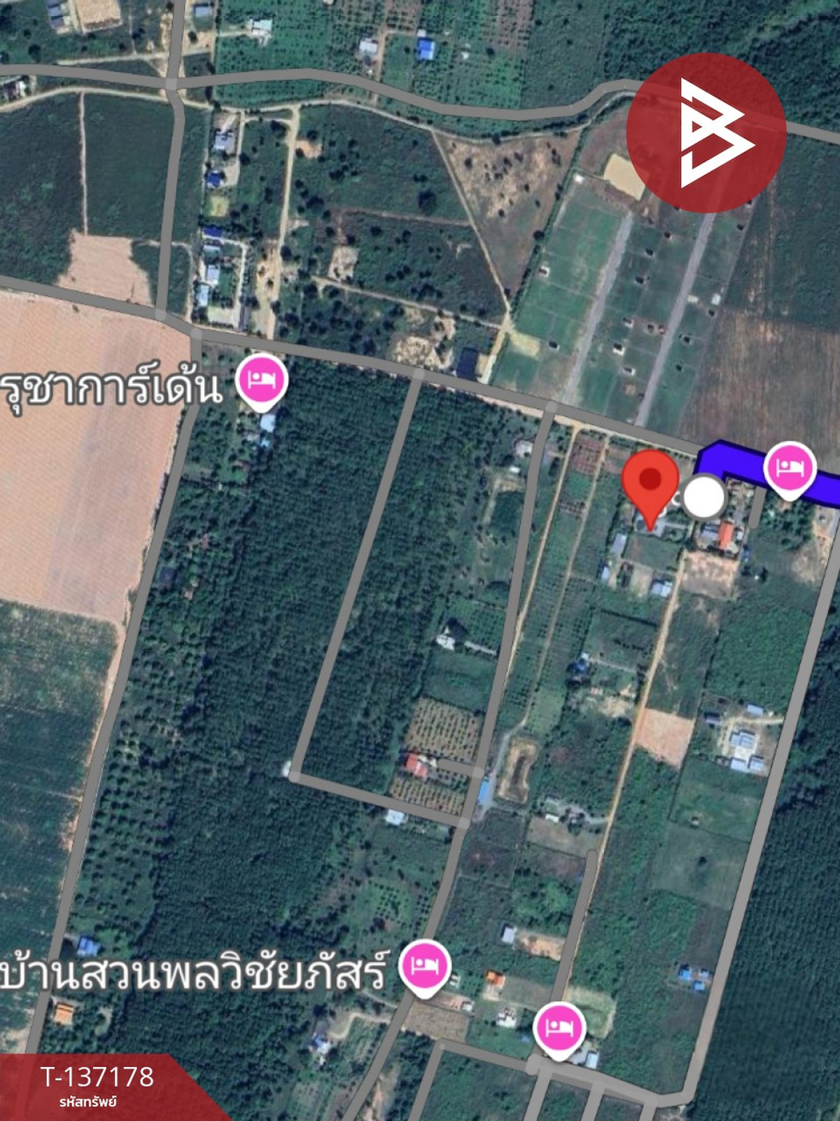 ขายที่ดิน เนื้อที่ 2 งาน ท่ายาง เพชรบุรี