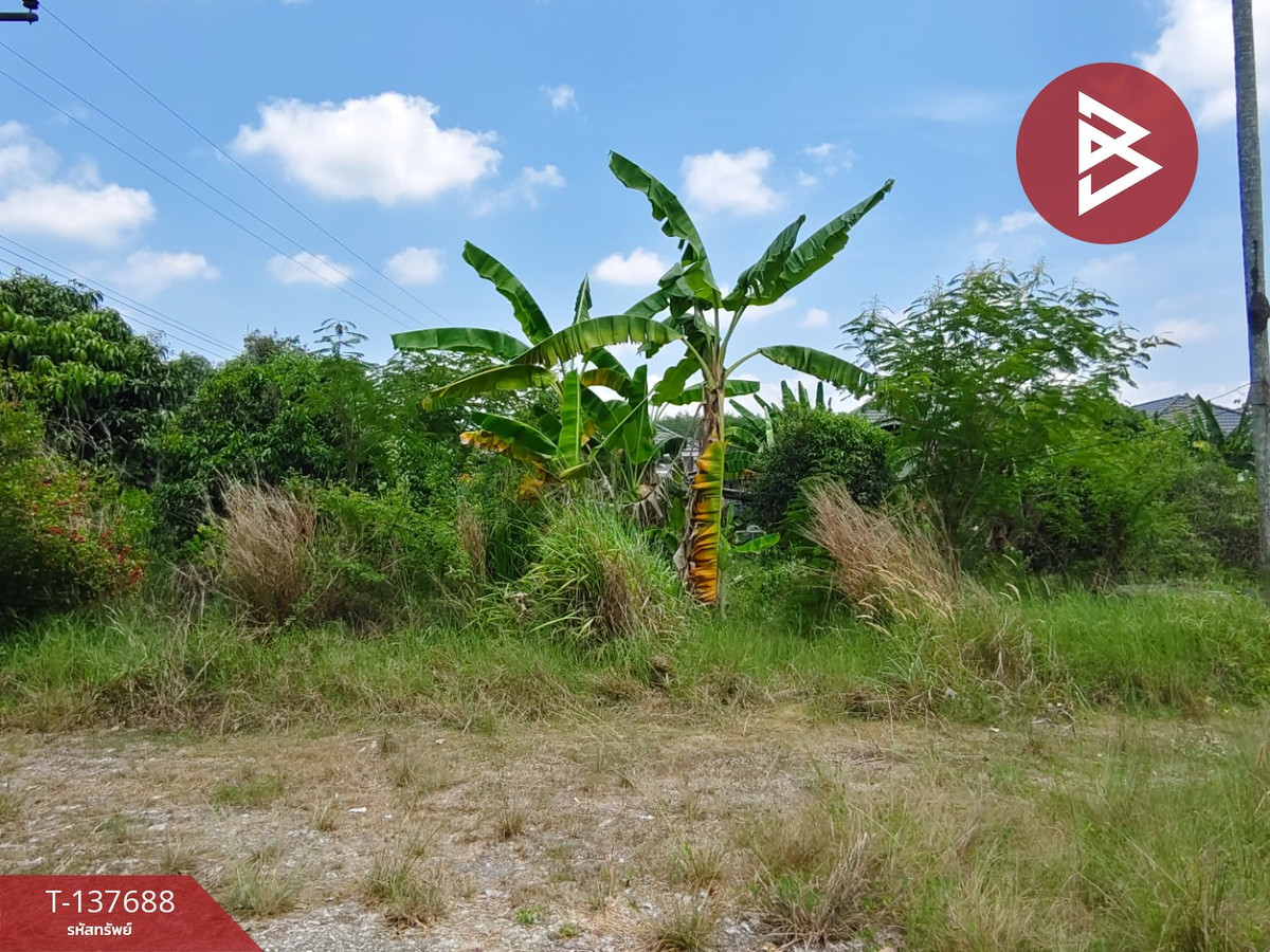 ขายที่ดิน เนื้อที่ 80 ตร.วา บ้านค่าย ระยอง