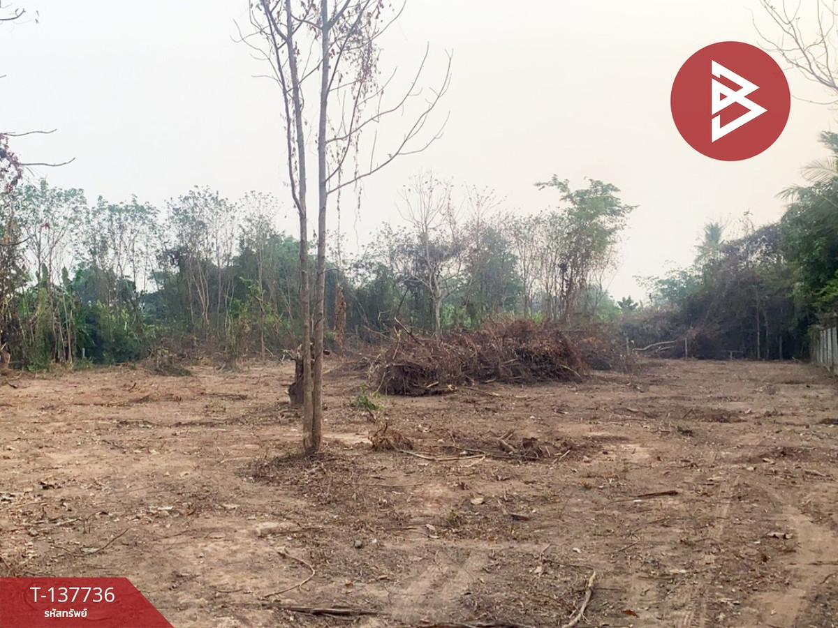 ขายที่ดิน เนื้อที่ 1 ไร่ 2 งาน 11 ตร.วา บ้านเกาะ อุตรดิตถ์