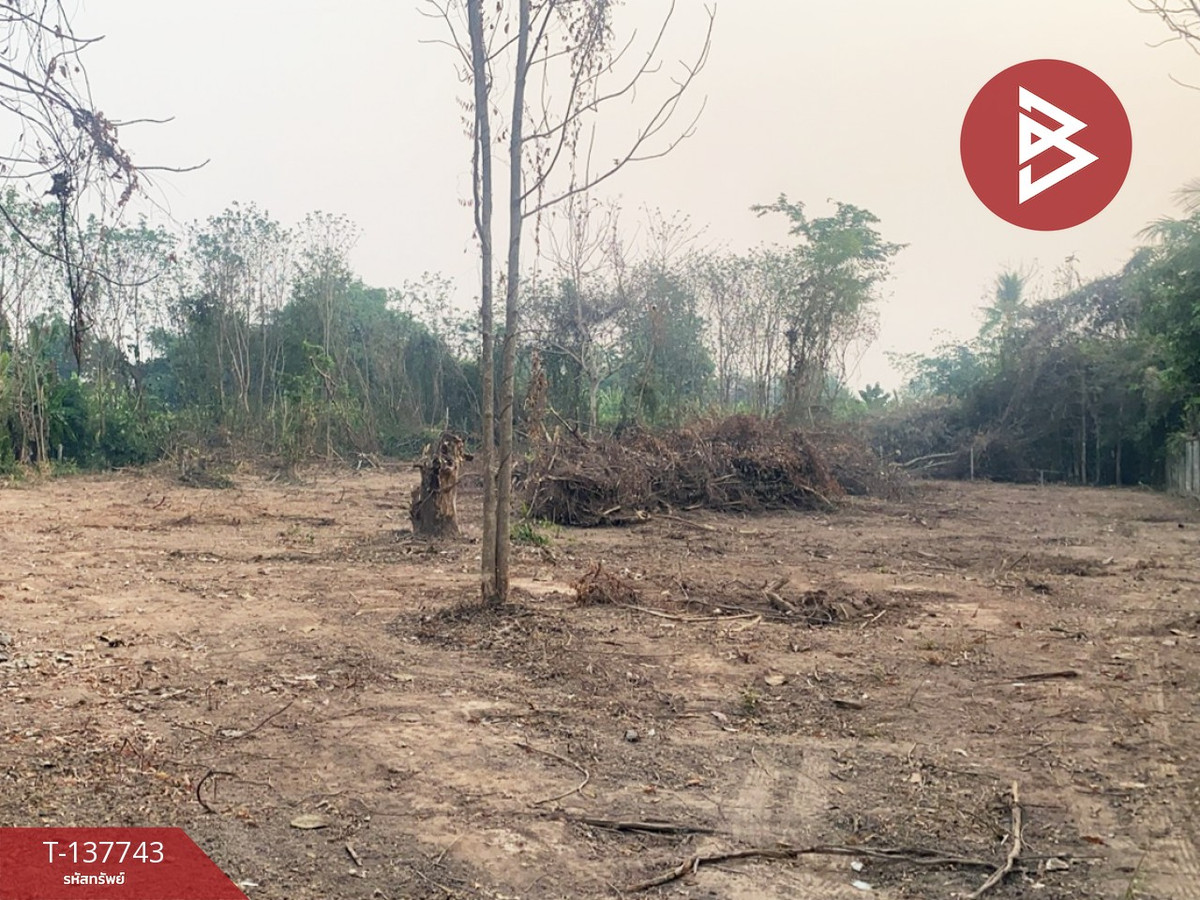 ขายที่ดิน เนื้อที่ 3 งาน 90 ตร.วา บ้านเกาะ อุตรดิตถ์