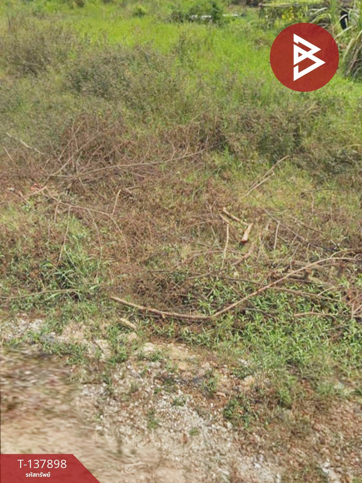 ขายที่ดิน เนื้อที่ 1 งาน 75 ตร.วา ศรีราชา ชลบุรี