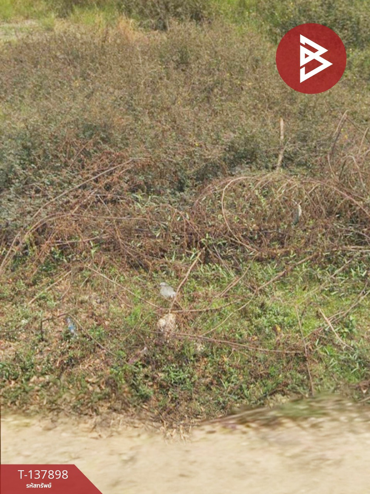 ขายที่ดิน เนื้อที่ 1 งาน 75 ตร.วา ศรีราชา ชลบุรี