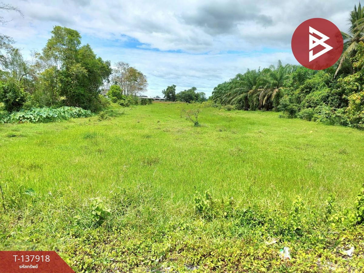 ขายที่ดิน เนื้อที่ 9 ไร่ 1 งาน 93.2 ตร.วา นาทราย นครศรีธรรมราช