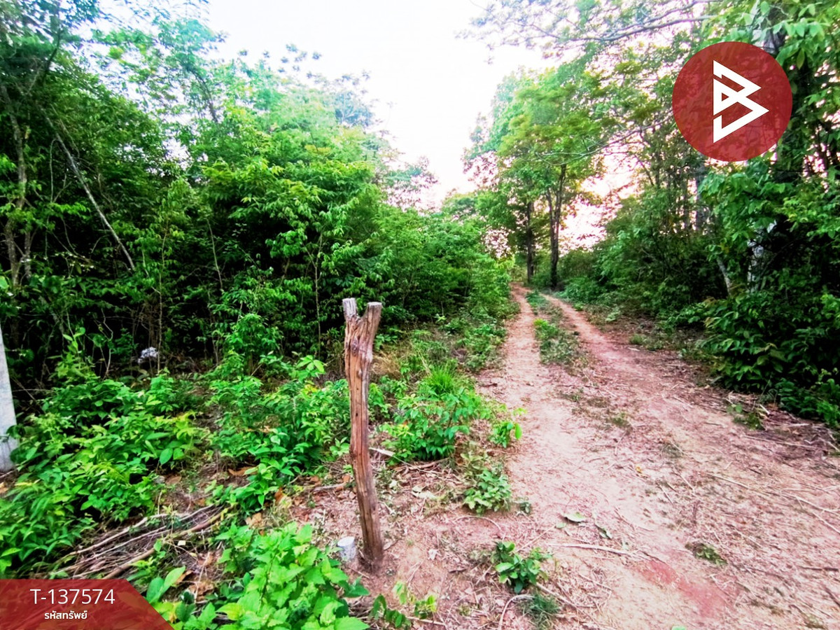 ขายที่ดิน เนื้อที่ 14 ไร่ 2 งาน 14 ตร.วา เชียงเครือ สกลนคร