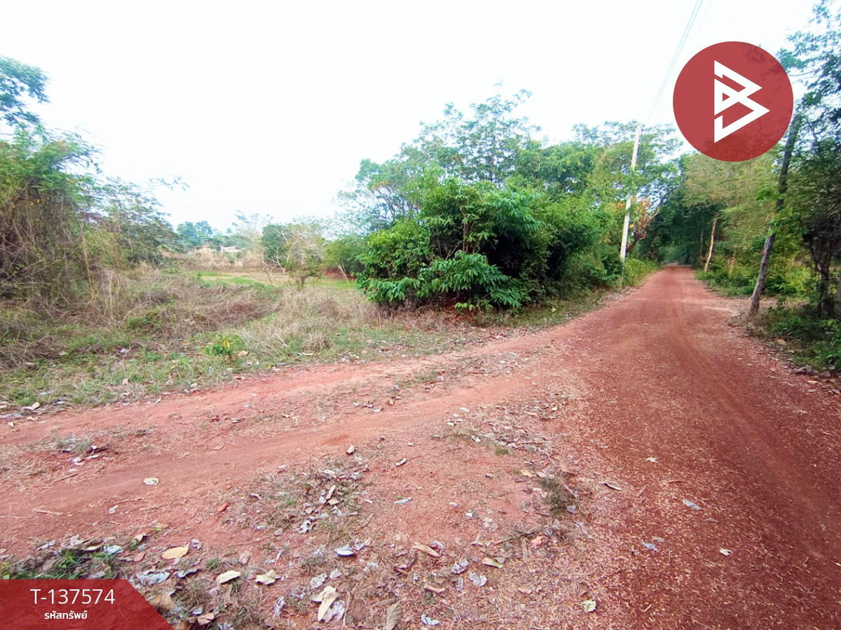 ขายที่ดิน เนื้อที่ 14 ไร่ 2 งาน 14 ตร.วา เชียงเครือ สกลนคร