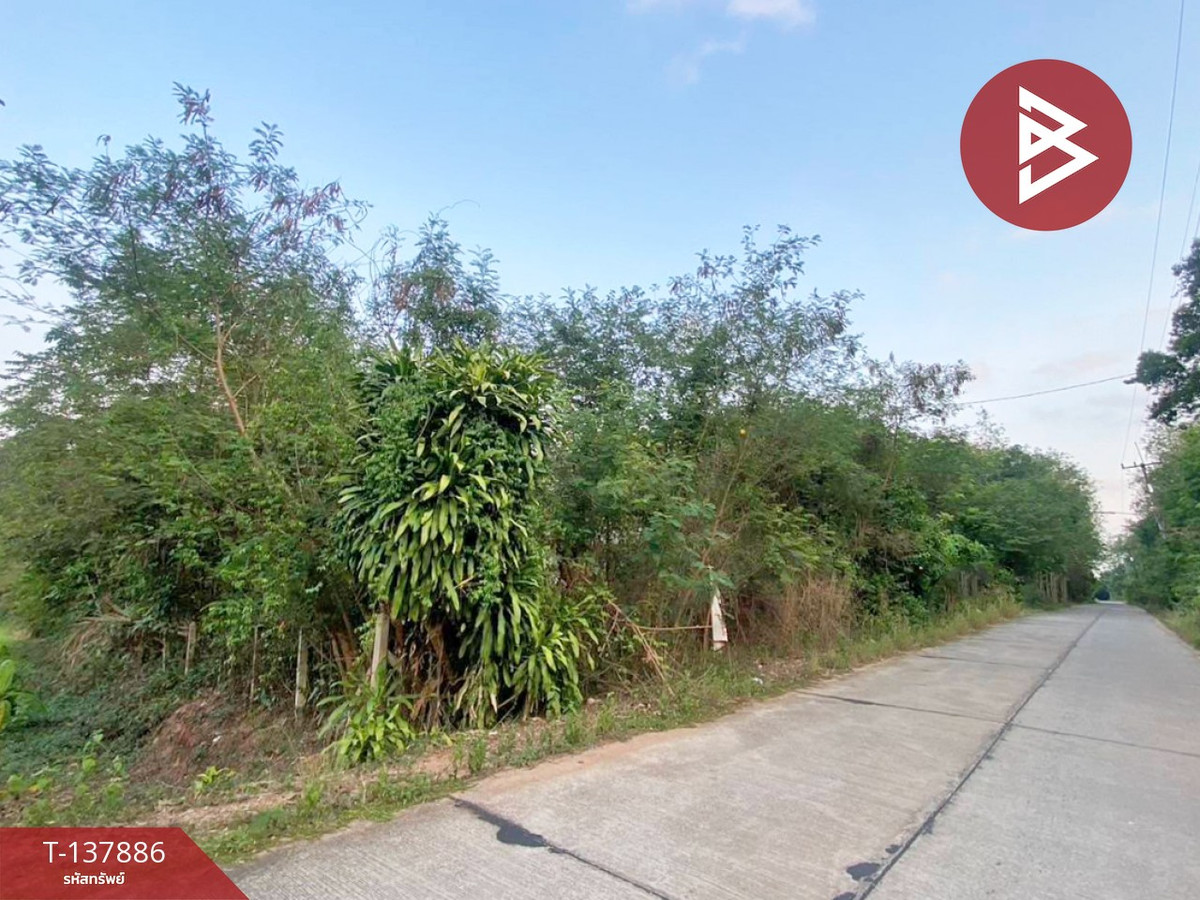 ขายที่ดิน เนื้อที่ 204.5 ตารางวา แกลง ระยอง พื้นที่สวย ทำเลดี