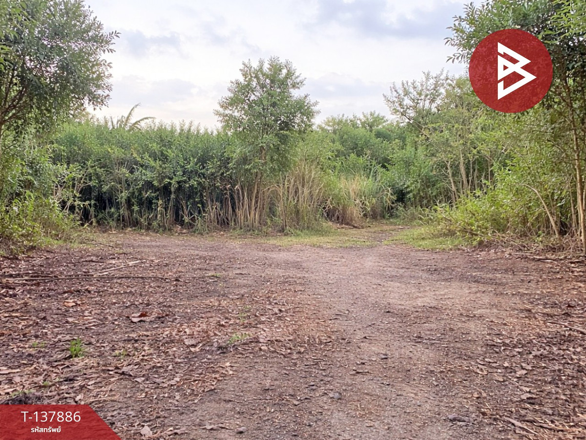 ขายที่ดิน เนื้อที่ 204.5 ตารางวา แกลง ระยอง พื้นที่สวย ทำเลดี