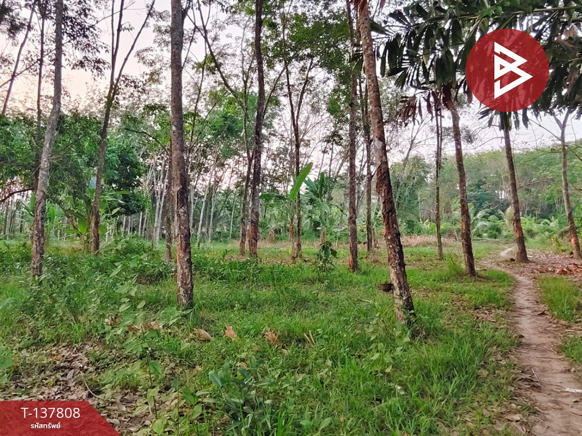 ขายที่ดิน เนื้อที่ 1 ไร่ 2 งาน ติดถนนไชยมนตรี นครศรีธรรมราช ใกล้โรงเรียนหนองบัว