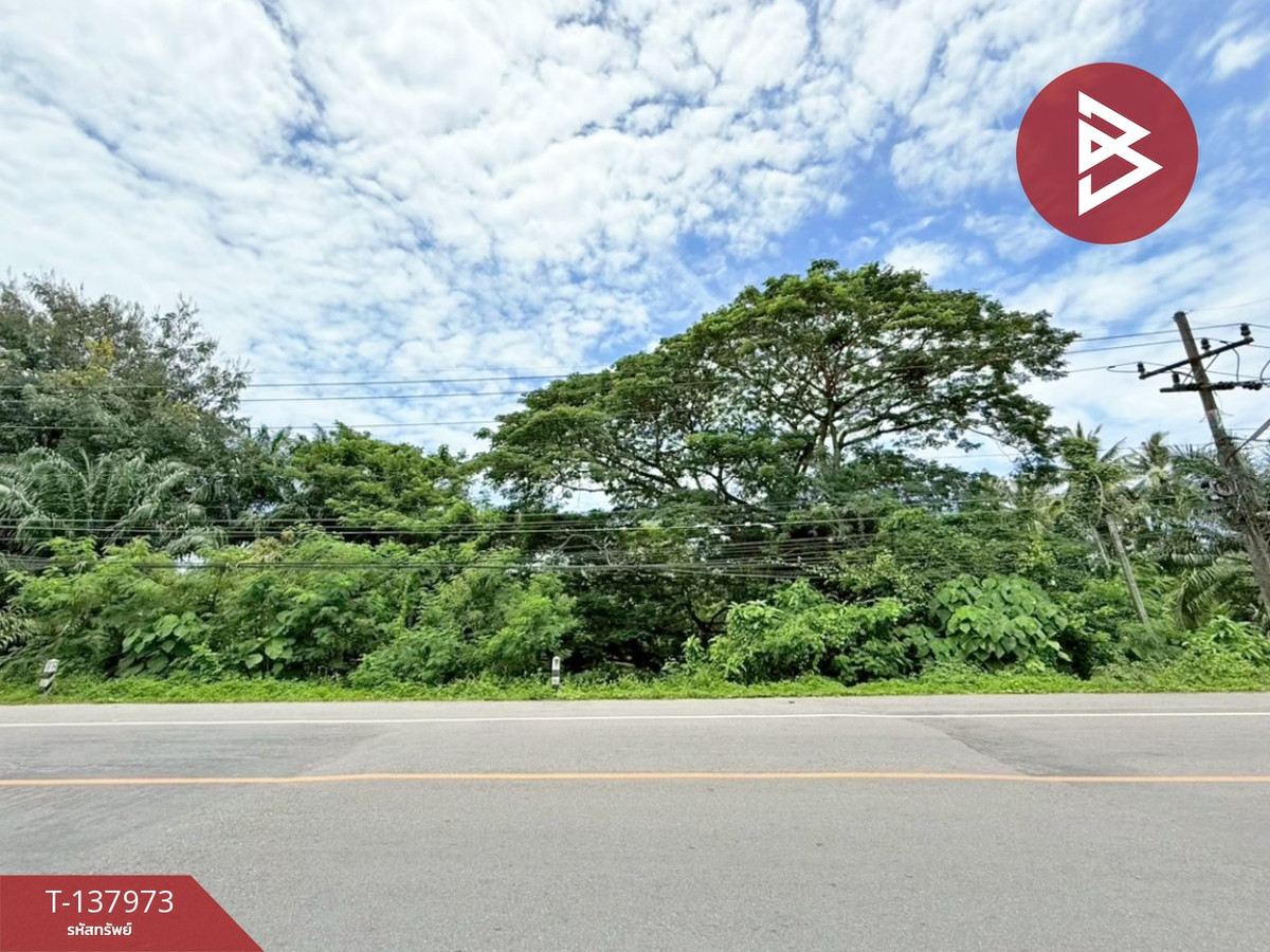 ขายที่ดิน เนื้อที่ 2 งาน 74 ตร.วา ท่าชนะ สุราษฎร์ธานี