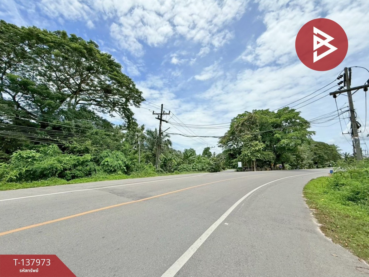 ขายที่ดิน เนื้อที่ 2 งาน 74 ตร.วา ท่าชนะ สุราษฎร์ธานี