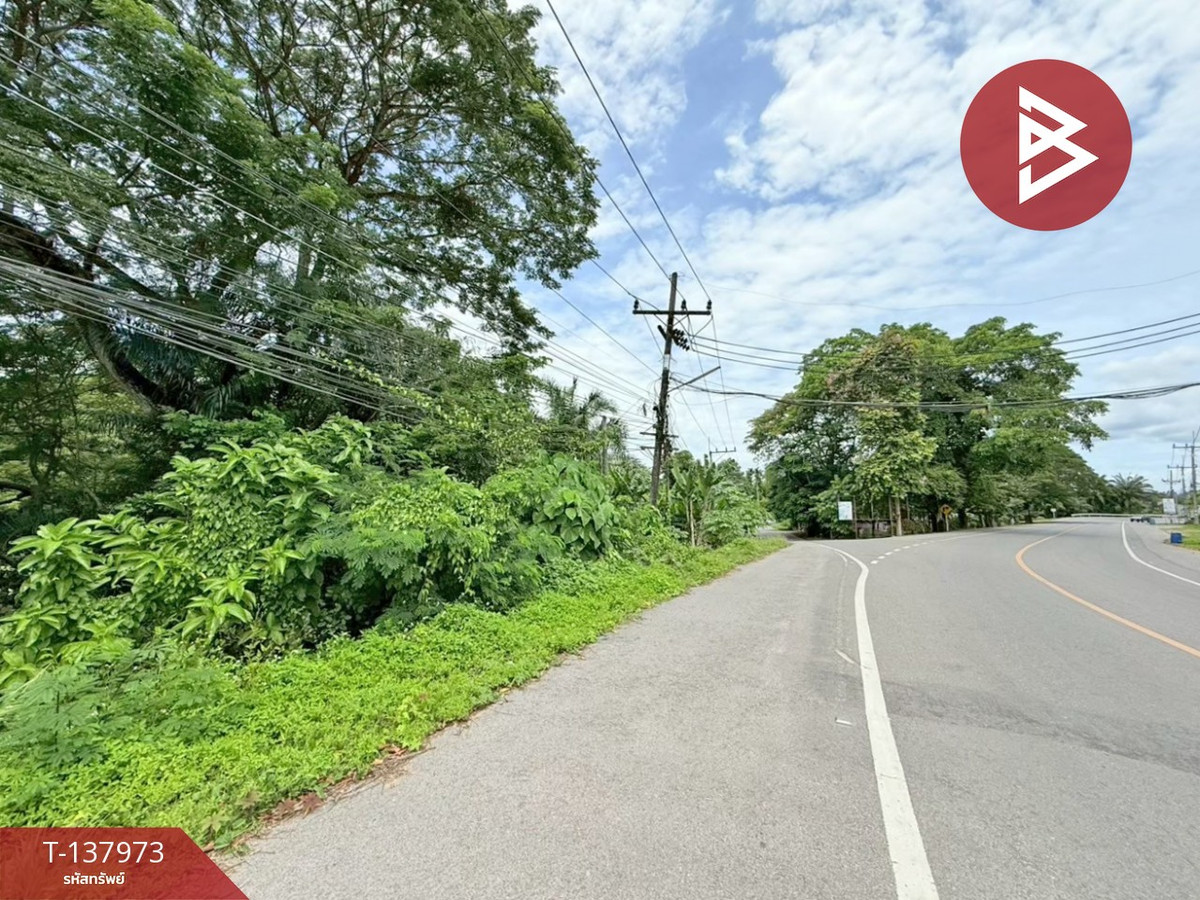 ขายที่ดิน เนื้อที่ 2 งาน 74 ตร.วา ท่าชนะ สุราษฎร์ธานี