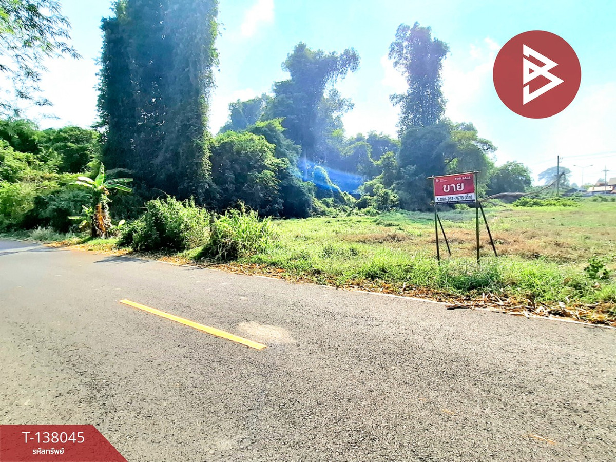 ขายที่ดิน เนื้อที่ 2 ไร่ ต.สะอาดสมบูรณ์ ร้อยเอ็ด ทำเลดีติดถนน