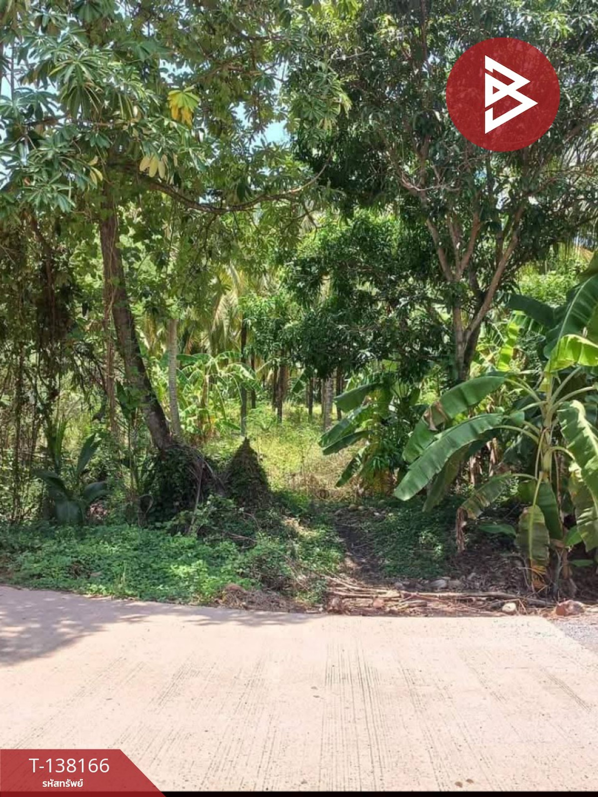 ขายที่ดิน เนื้อที่ 2 งาน 44.5 ตร.วา ดำเนินสะดวก ราชบุรี