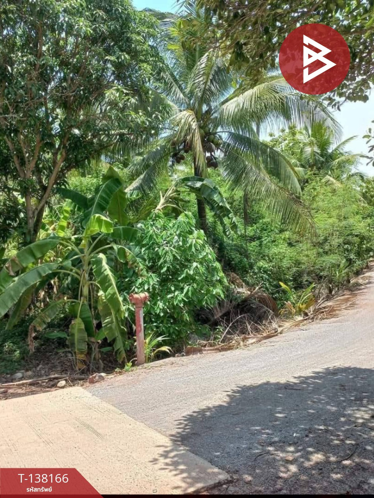 ขายที่ดิน เนื้อที่ 2 งาน 44.5 ตร.วา ดำเนินสะดวก ราชบุรี