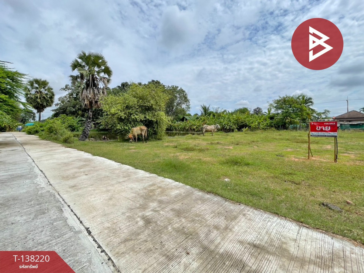 ขายที่ดิน เนื้อที่ 3 งาน 20 ตร.วา บ้านไผ่ ขอนแก่น