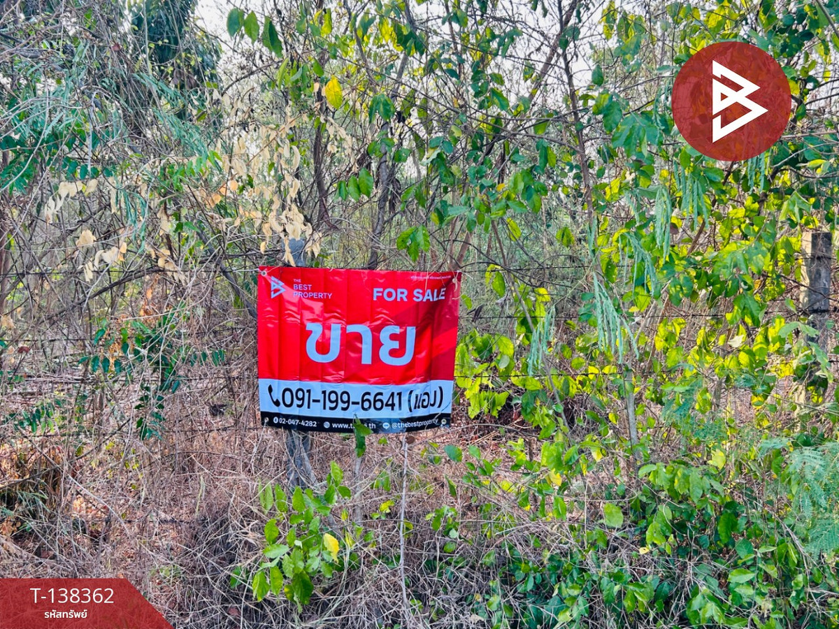 ขายที่ดิน เนื้อที่ 2 งาน โพธาราม ราชบุรี