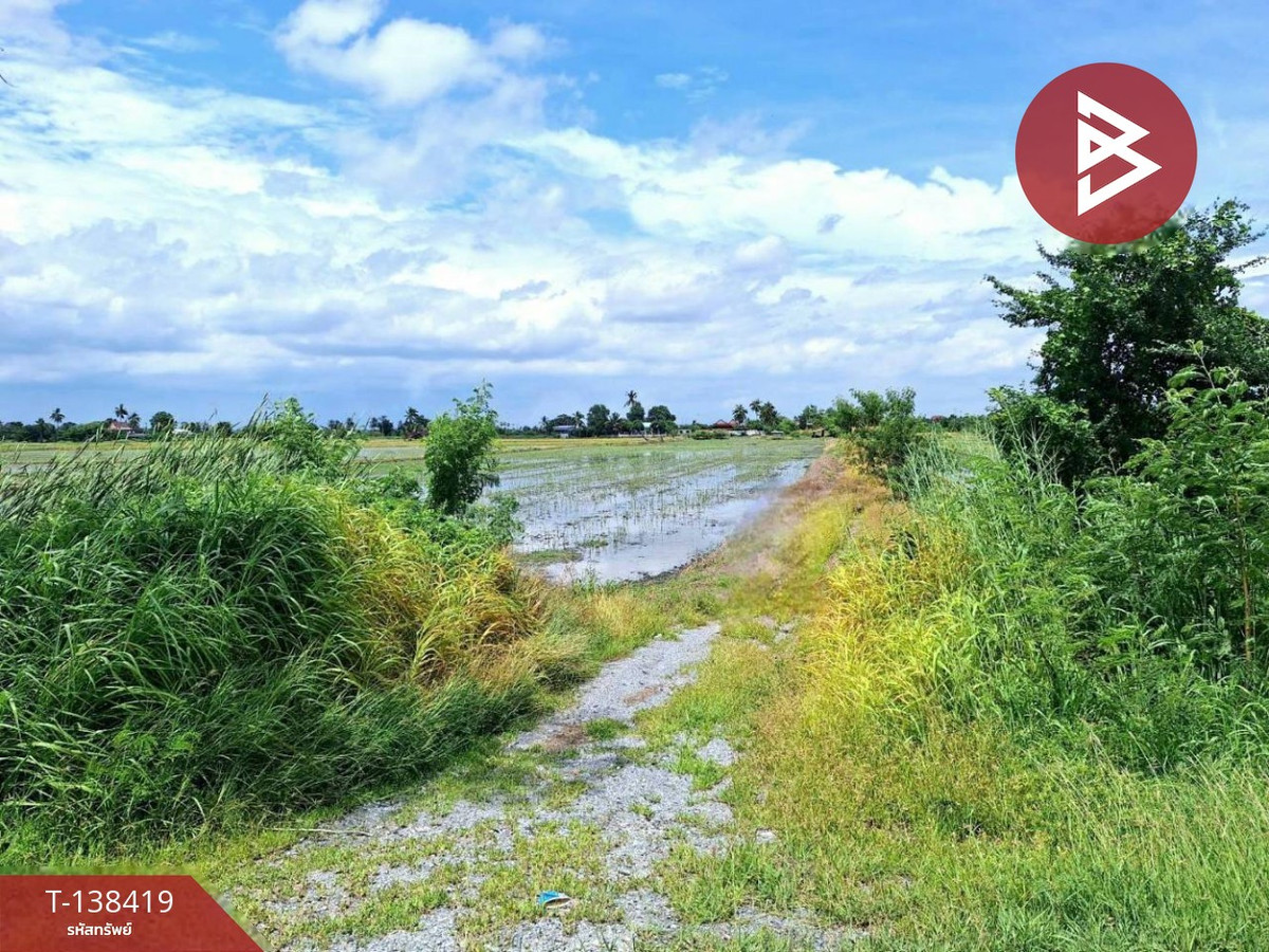 ขายที่ดิน เนื้อที่ 4 ไร่ โคกโคเฒ่า สุพรรณบุรี