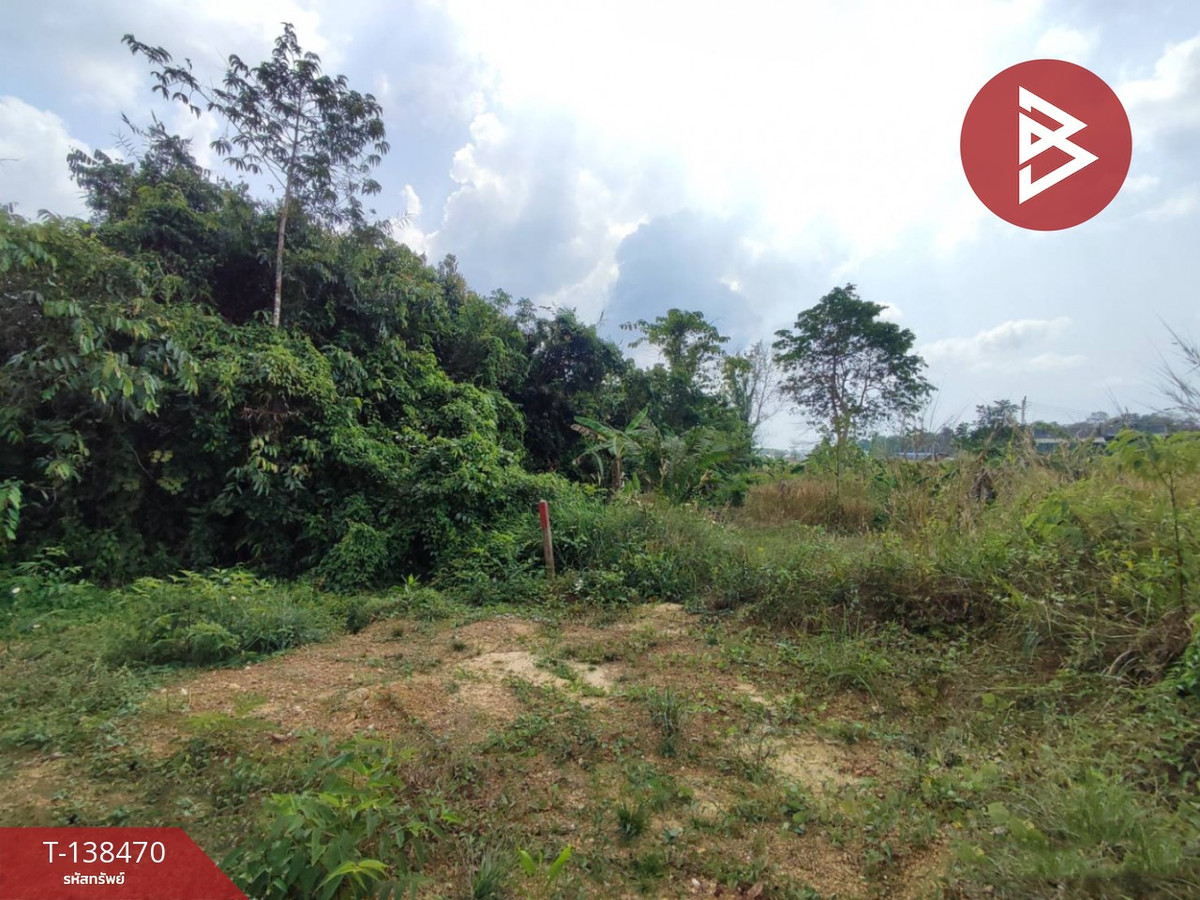 ขายที่ดิน เนื้อที่ 403 ตารางวา จันทบุรี ใจกลางเมืองท่าช้าง พื้นที่สีเหลือง