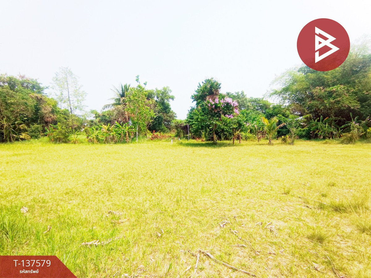 ขายที่ดิน เนื้อที่ 385 ตร.วา พังโคน สกลนคร