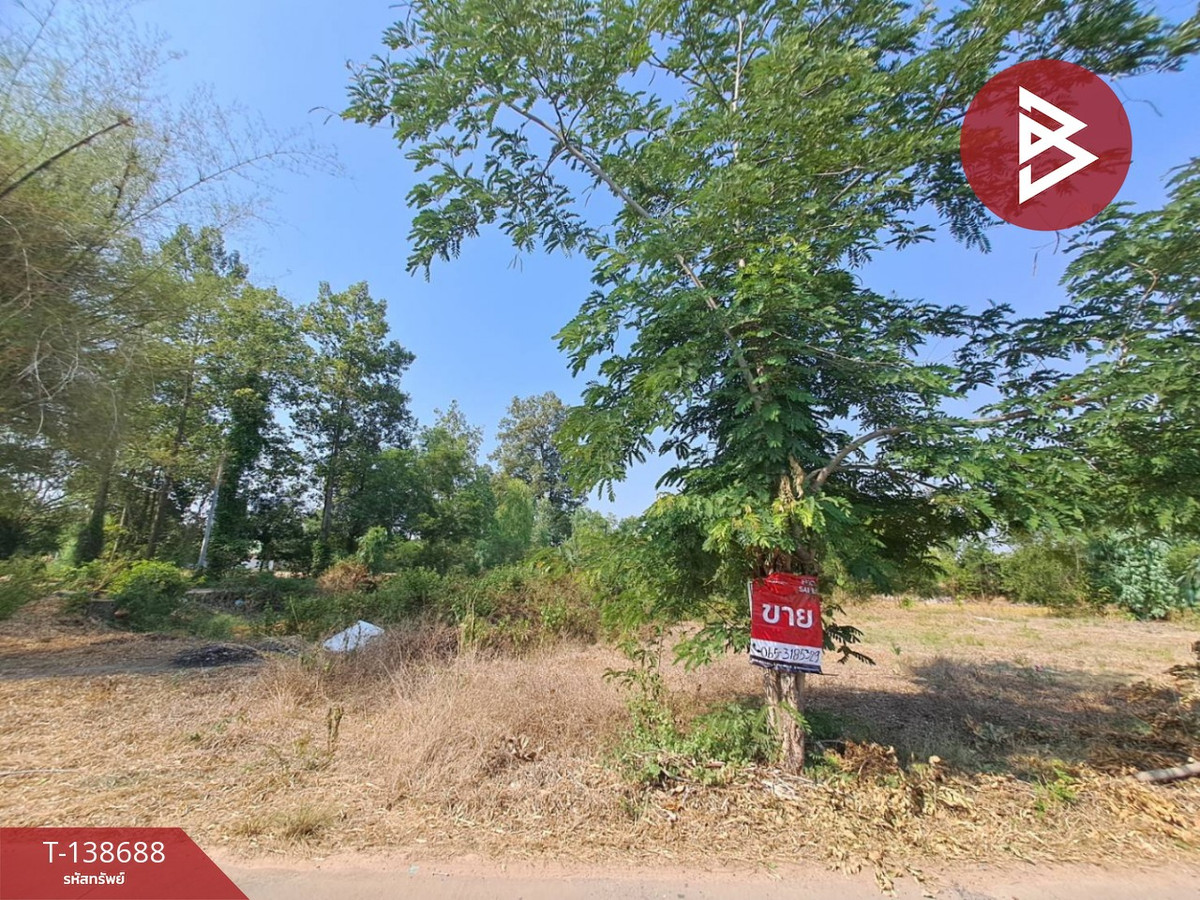 ขายด่วนที่ดินเปล่า เนื้อที่ 3 ไร่ 2 งาน 50 ตารางวา ต.สะอาดสมบูรณ์ ร้อยเอ็ด