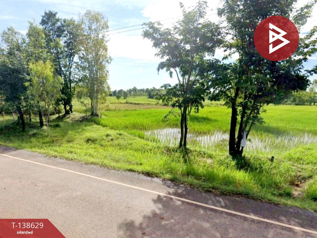 ขายที่ดิน เนื้อที่ 4 ไร่ 3 งาน 65 ตร.วา ท่าบ่อ หนองคาย