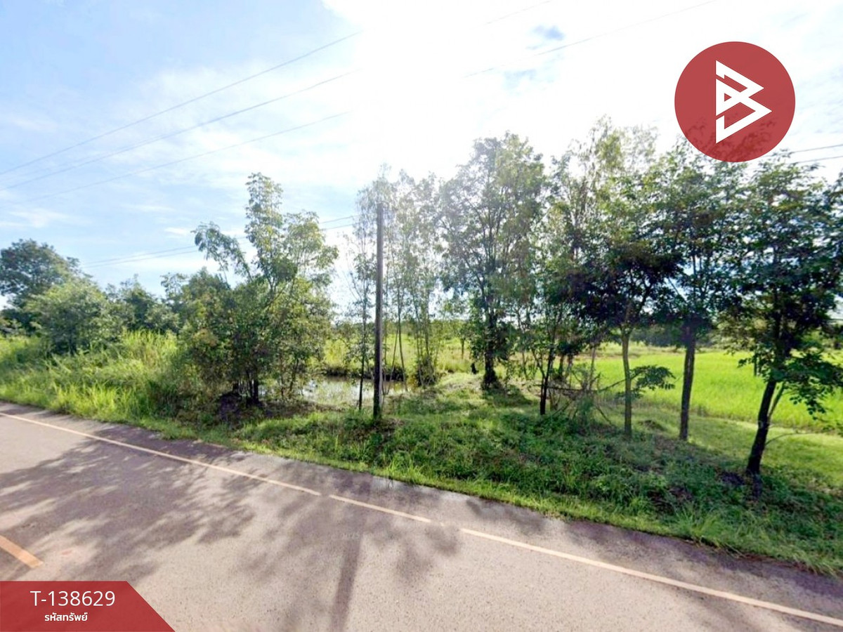 ขายที่ดิน เนื้อที่ 4 ไร่ 3 งาน 65 ตร.วา ท่าบ่อ หนองคาย