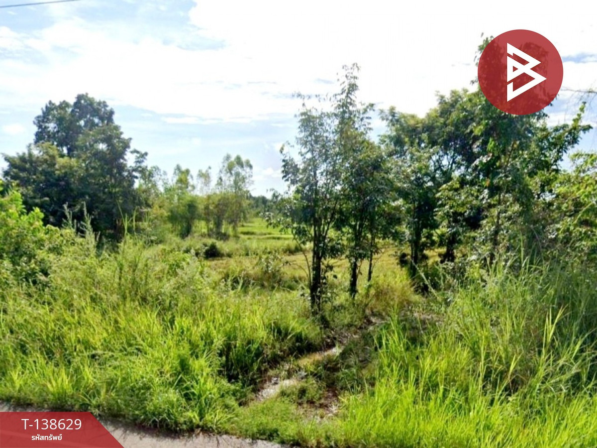 ขายที่ดิน เนื้อที่ 4 ไร่ 3 งาน 65 ตร.วา ท่าบ่อ หนองคาย