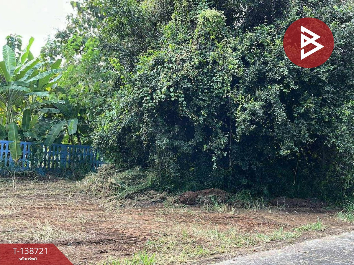 ขายที่ดิน เนื้อที่ 51 ตร.วา สันกำแพง เชียงใหม่