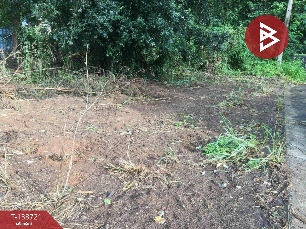 ขายที่ดิน เนื้อที่ 51 ตร.วา สันกำแพง เชียงใหม่