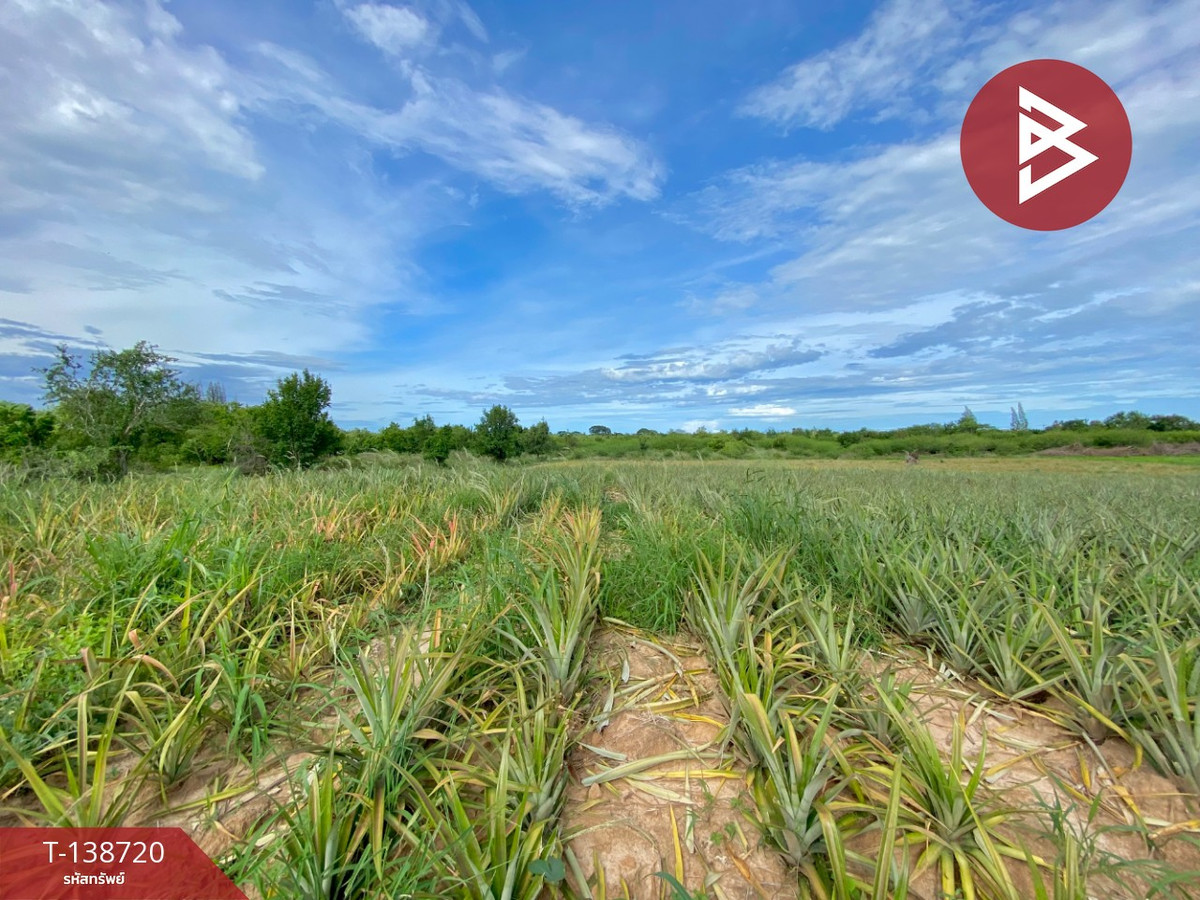 ขายที่ดิน เนื้อที่ 33 ไร่ 3 งาน 69 ตร.วา บ่อนอก ประจวบคีรีขันธ์