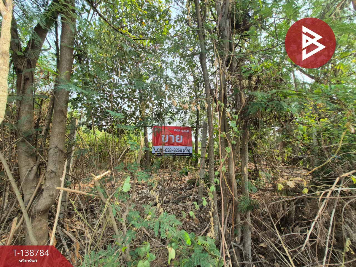 ขายที่ดิน เนื้อที่ 2 งาน 90 ตร.วา พุทธมณฑล นครปฐม