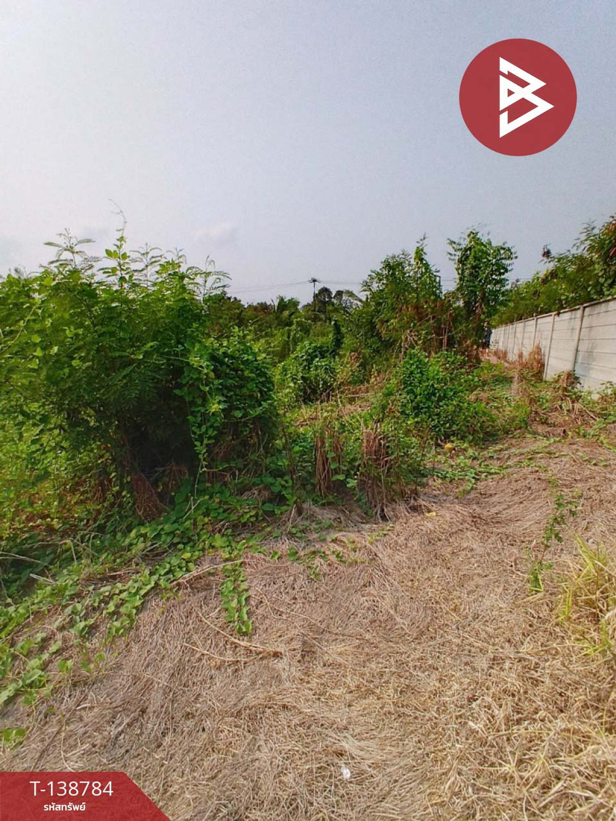 ขายที่ดิน เนื้อที่ 2 งาน 90 ตร.วา พุทธมณฑล นครปฐม