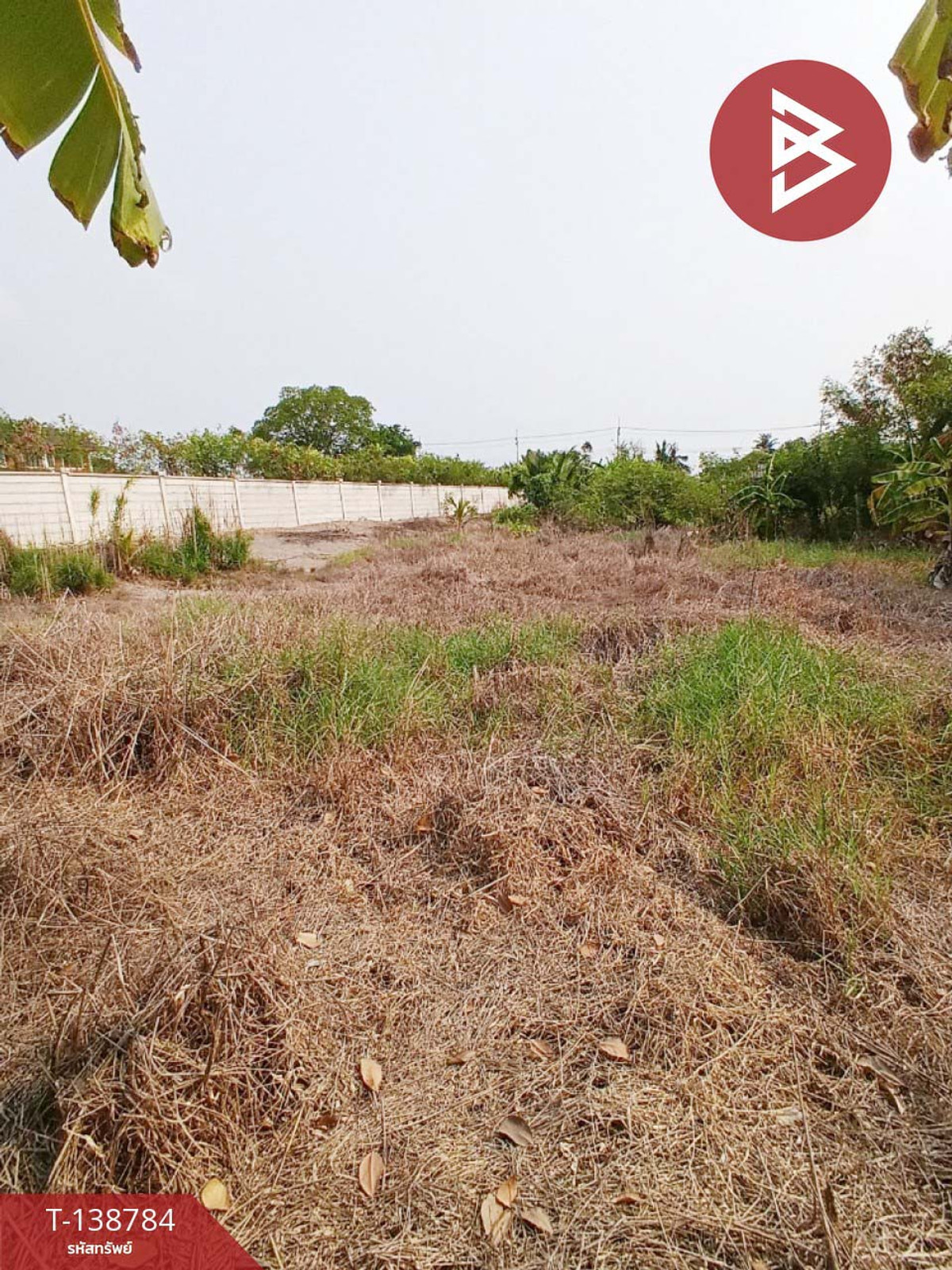 ขายที่ดิน เนื้อที่ 2 งาน 90 ตร.วา พุทธมณฑล นครปฐม