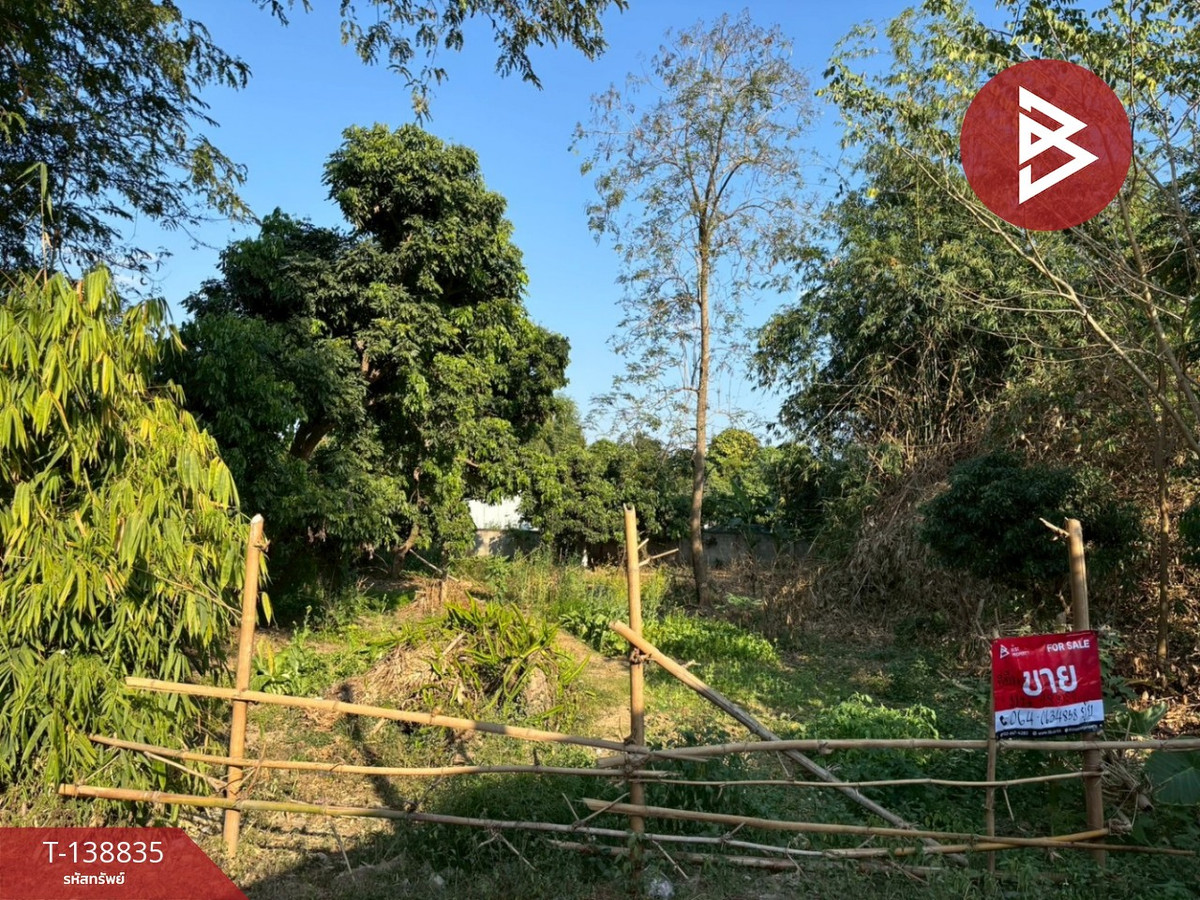 ขายที่ดิน เนื้อที่ 198 ตารางวา บ้านศรีงามพัฒนา-แม่แฝก สันทราย เชียงใหม่