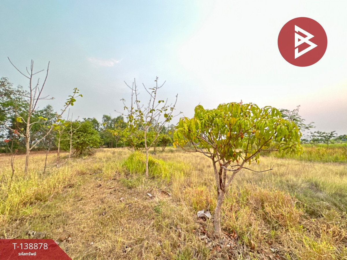 ขายที่ดิน เนื้อที่ 5 ไร่ หนองแซง สระบุรี