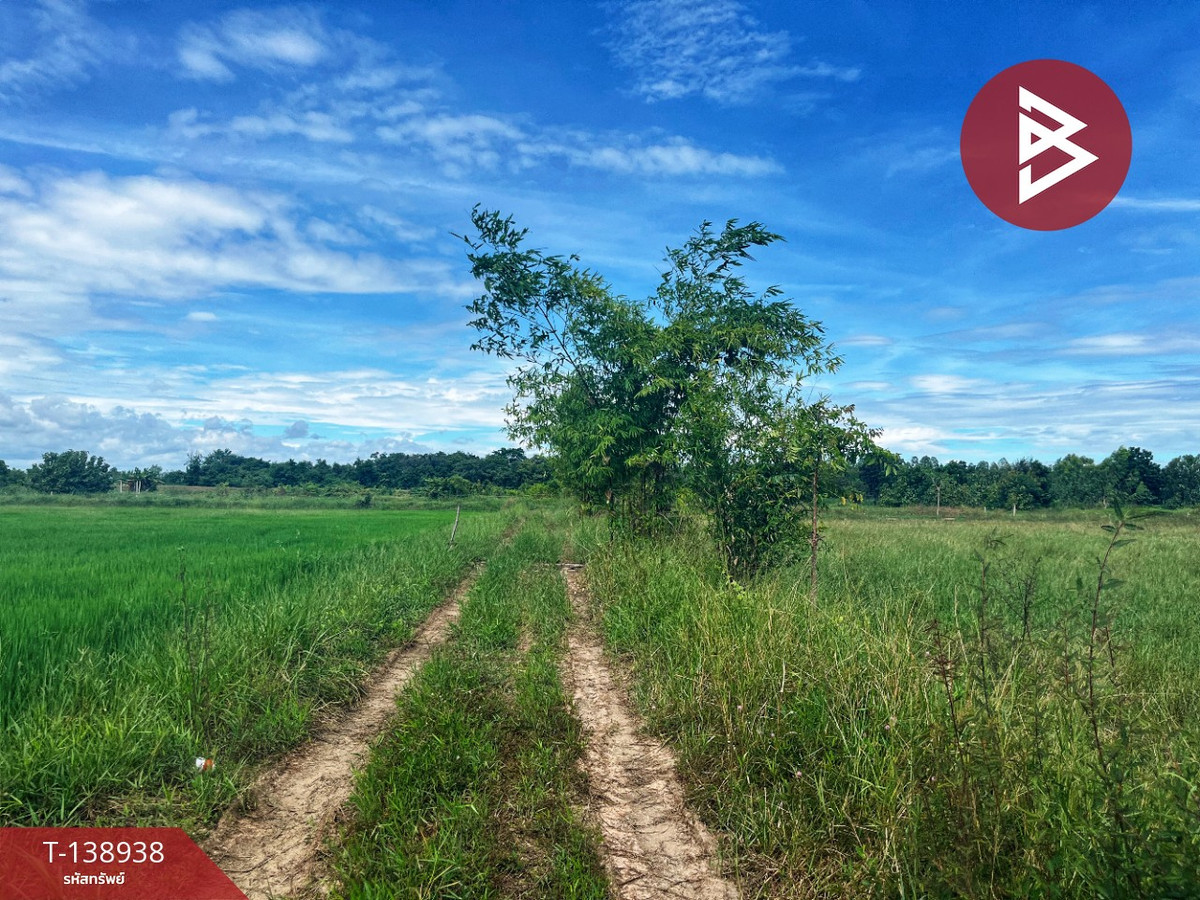 ขายบ้านเดี่ยวพร้อมที่ดิน เนื้อที่ 7 ไร่ 80.2 ตร.วา วัดสิงห์ ชัยนาท