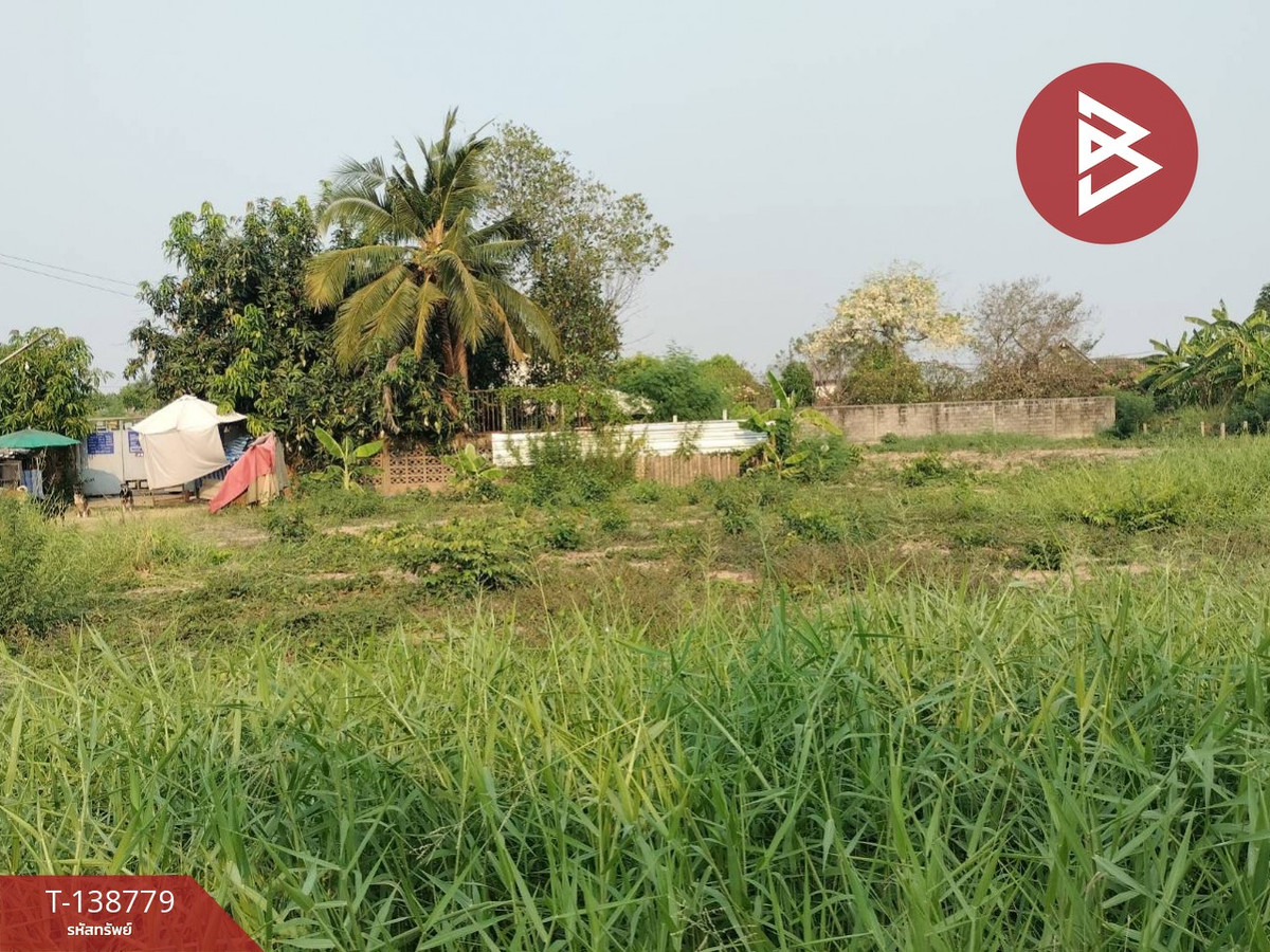 ขายที่ดิน เนื้อที่ 3 งาน 91 ตร.วา บ้านคลอง พิษณุโลก