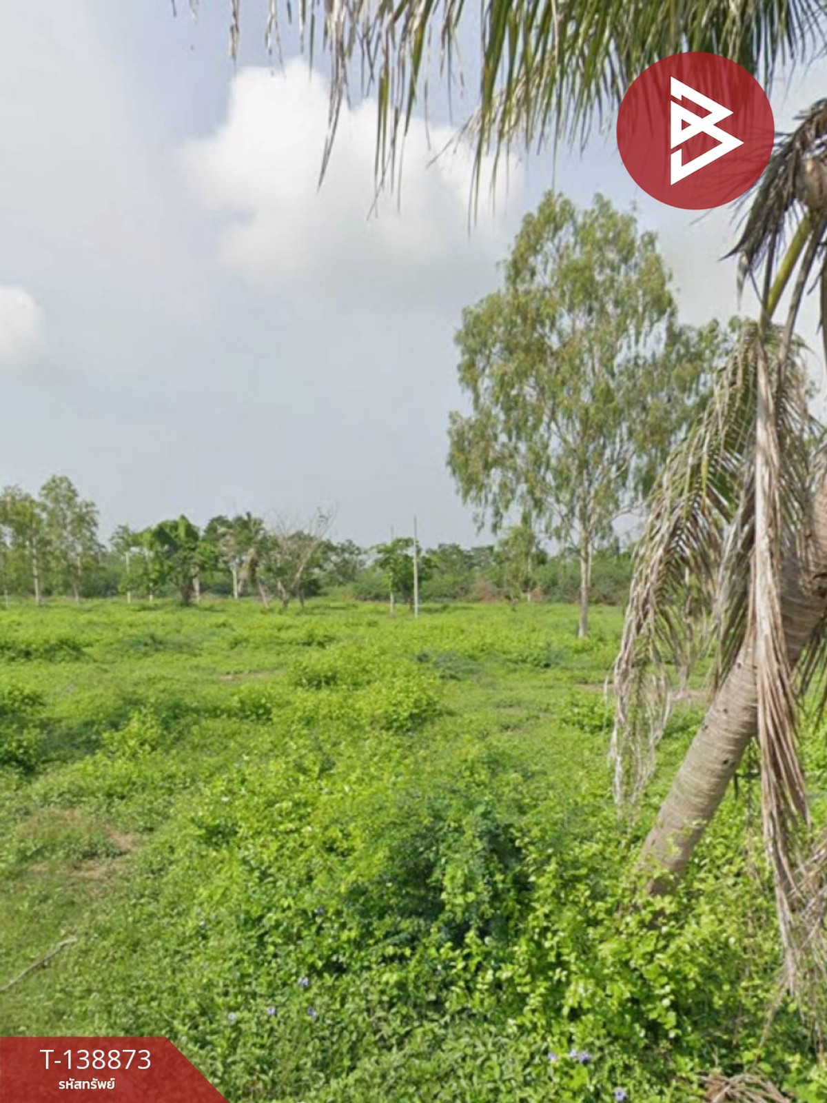 ขายที่ดิน เนื้อที่ 94 ตร.วา ท่ายาง เพชรบุรี