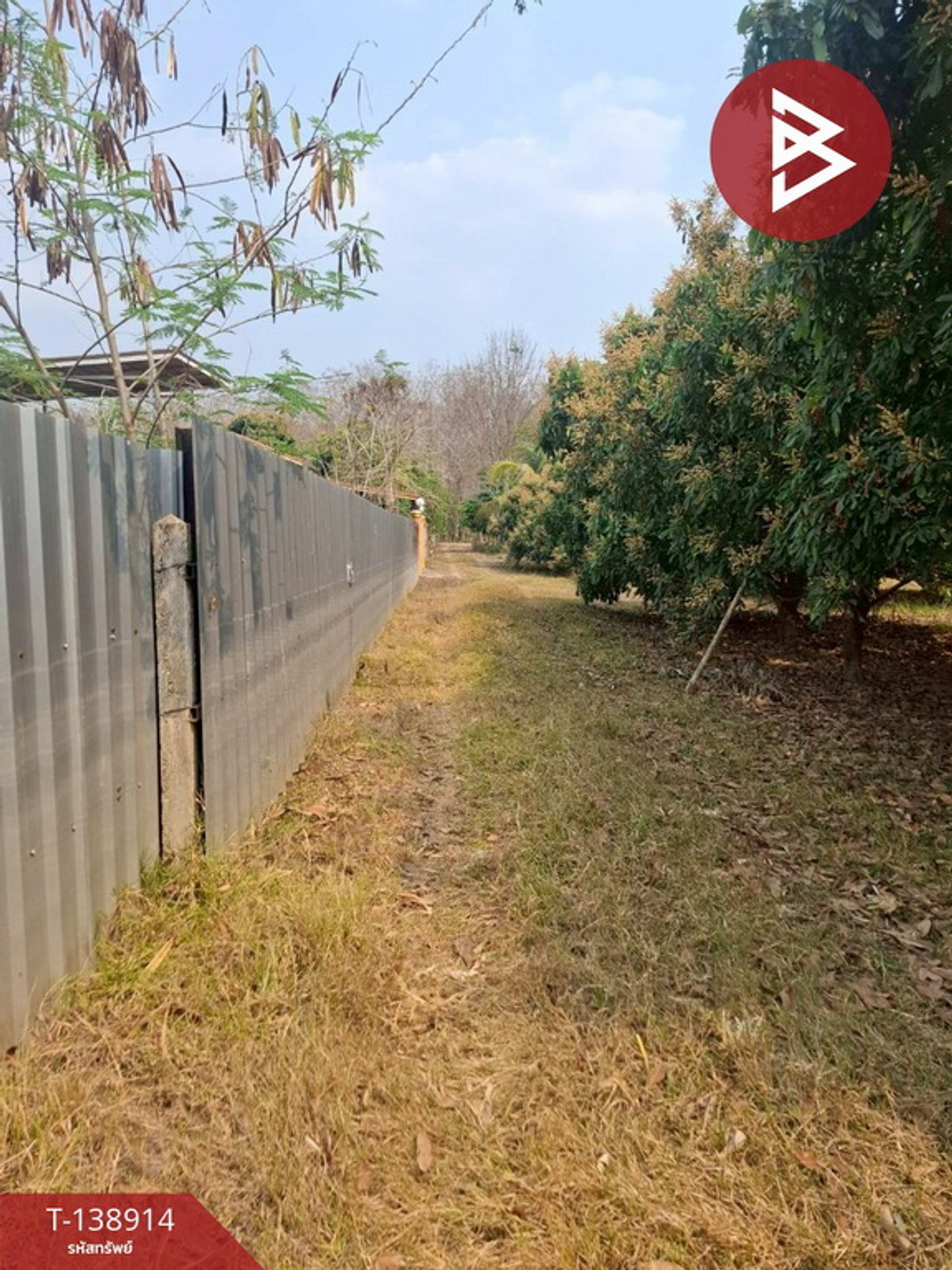 ขายที่ดิน เนื้อที่ 1 ไร่ เทิง เชียงราย